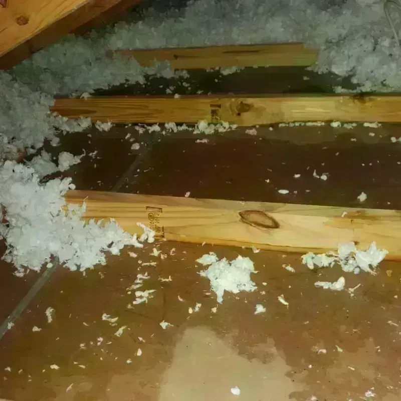 Attic Water Damage in Avon, OH